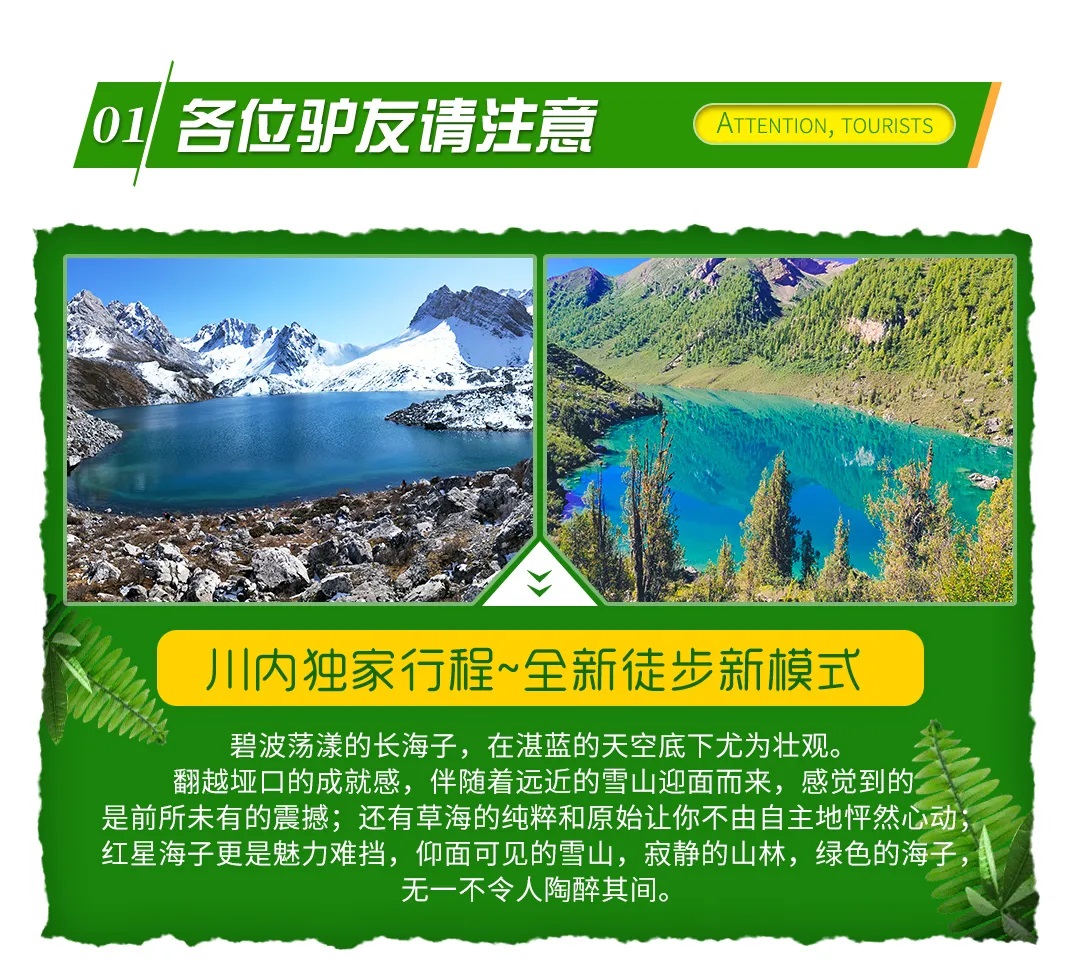 七藏溝2 七藏溝2