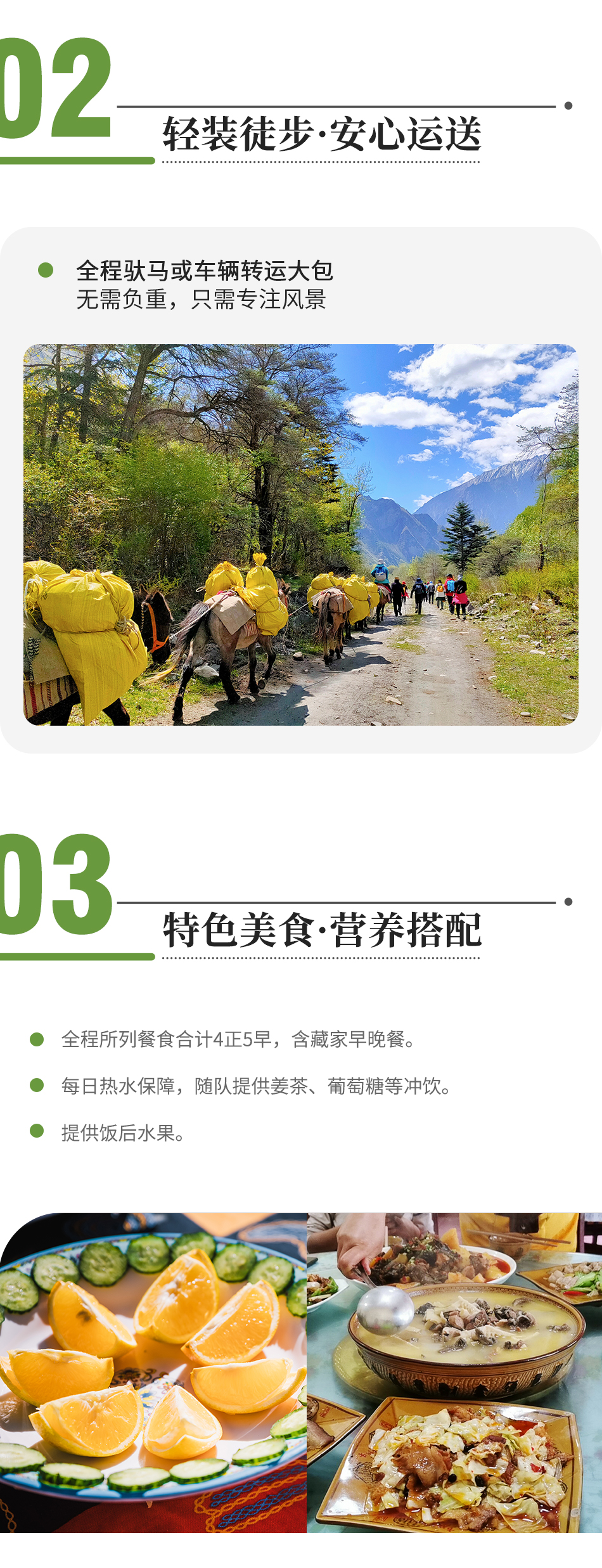 貢嘎西南坡24 貢嘎西南坡24