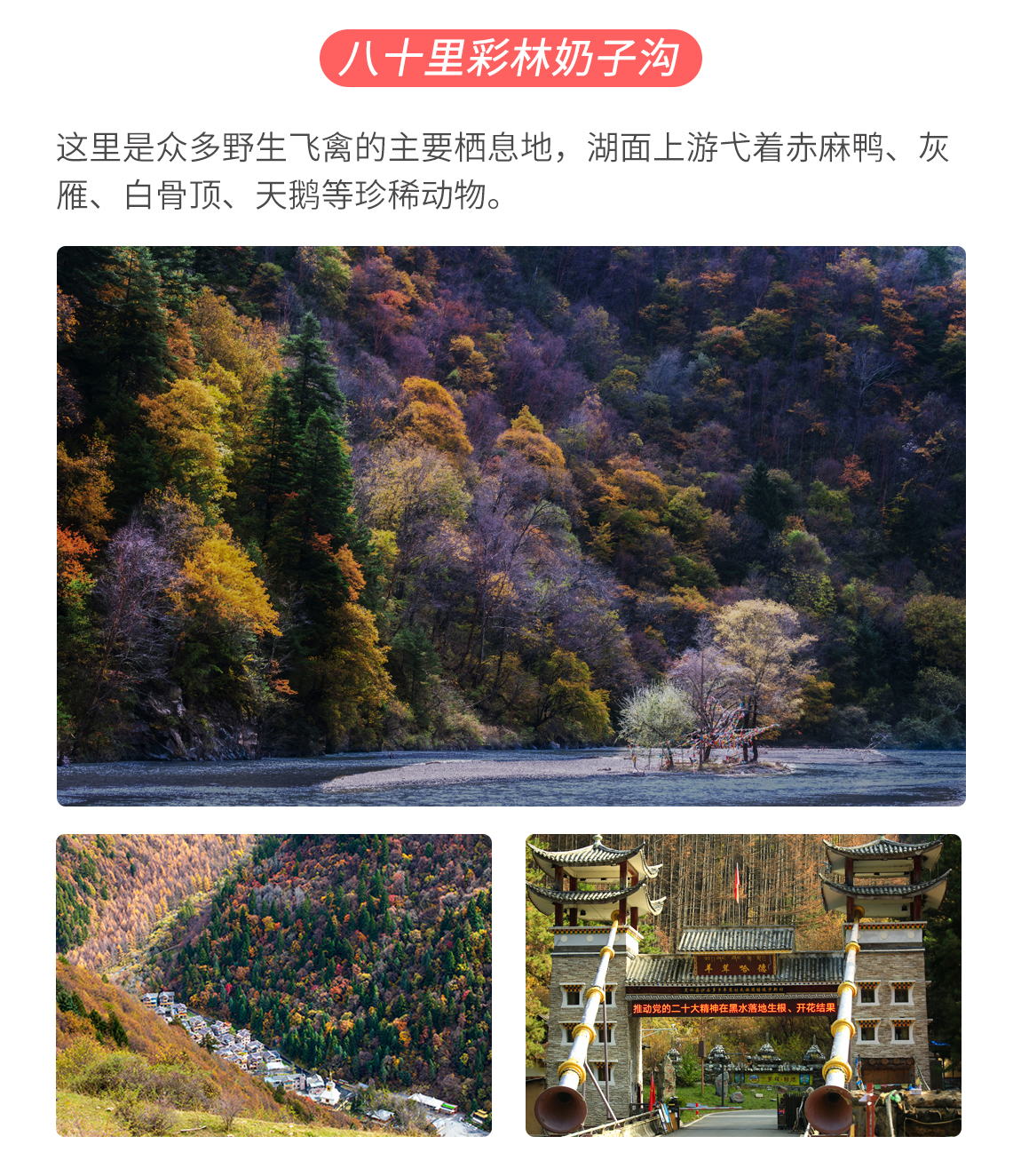 九寨溝四日游3_05 九寨溝四日游3_05