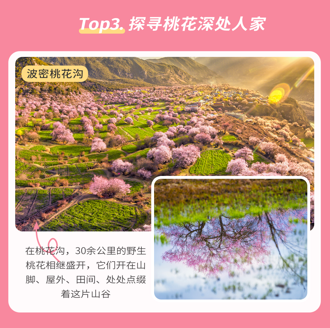 藏地花事-第1部_07