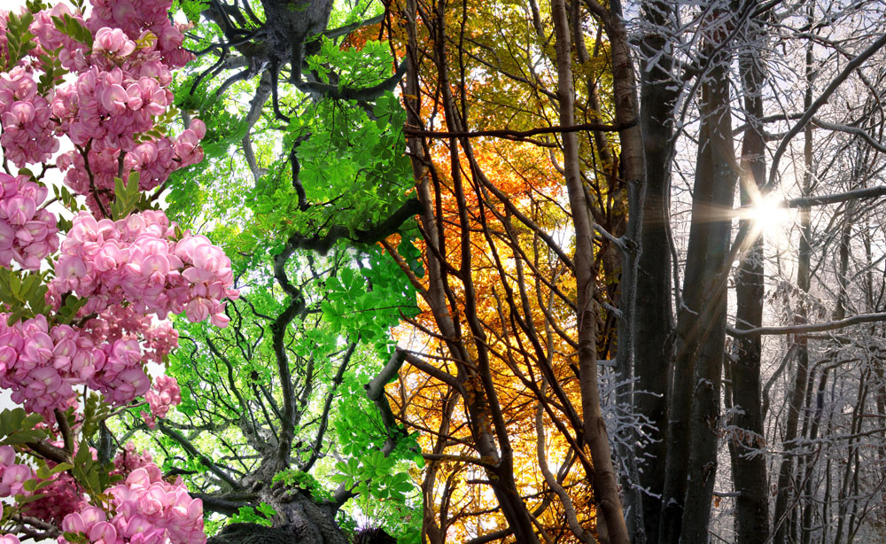 成都周邊旅游一日游景點介紹